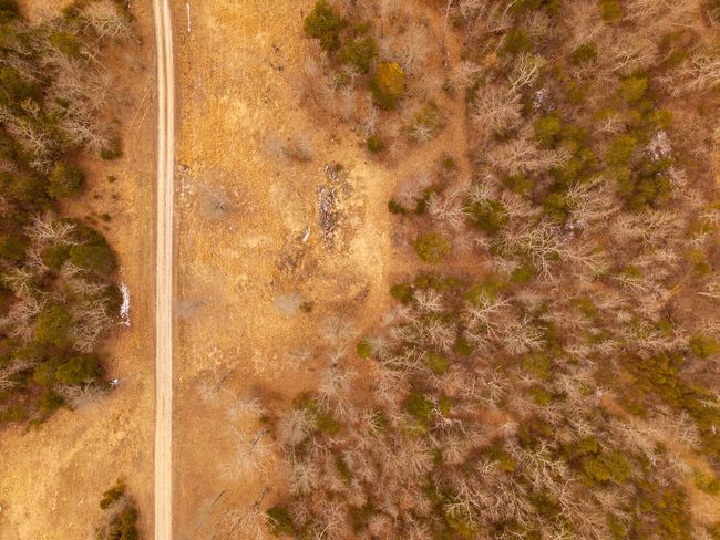 Lot 22 For Sale Arkansas Ozarks4 | Image 10