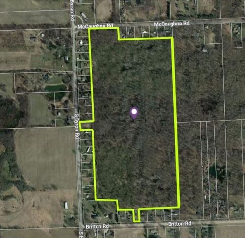 57.5 Acres Mc Caughna Road, Burns Township, MI, 48418 | Card Image