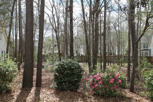 228 Comiskey Park Cir, Summerville, SC, 29485-7337 | Card Image
