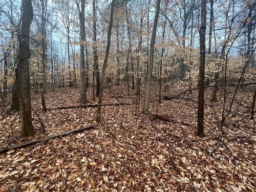 Lot 942 Birdie Court, Westminster, SC, 29693 | Card Image