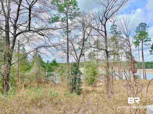 0 Lake Juniper Rd, Brewton, AL, 36426 | Card Image