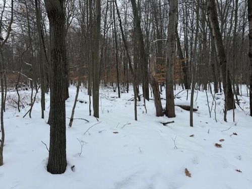 12066 Red Feather Ln, Stanwood, MI, 49346 | Card Image