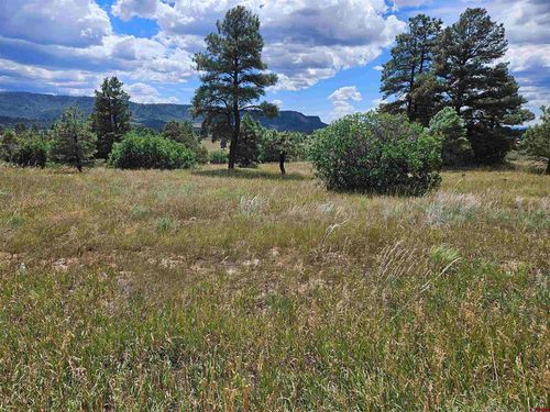 266 Prospect Blvd, Pagosa Springs, CO, 81147 | Card Image