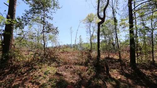 hwy-63-e-TBD County Road 1052, Wiergate, TX, 75977 | Card Image