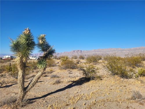 1160 W Bradley Bay Dr, Meadview, AZ, 86444 | Card Image