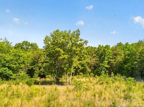 0 Mohawk Rd, Gladys, VA, 24554 | Card Image