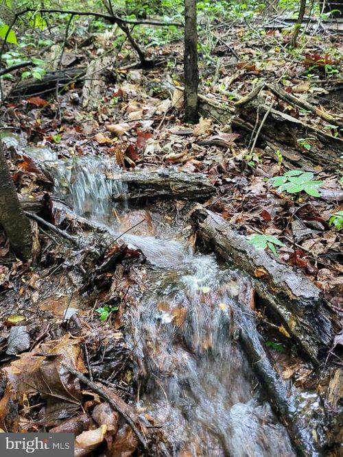 Lot 12 Featherbed Ln, HEDGESVILLE, WV, 25427 | Card Image