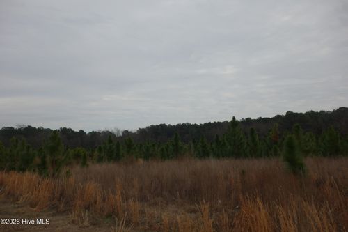 Lot 33 Stuarts Mill Rd, Fairmont, NC, 28340 | Card Image
