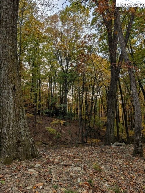 TBD Rocky Mountain Rd, Sparta, NC, 28675 | Card Image