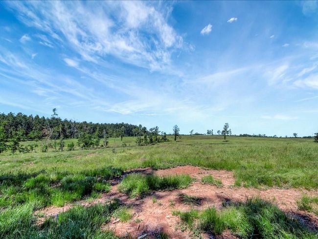 3103 Cheeseland Rd, Home with 0 bedrooms, 0 bathrooms and null parking in Pollok TX | Image 40