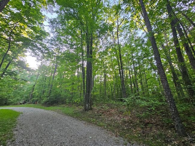 3 Woodfern Lane, Home with 0 bedrooms, 0 bathrooms and null parking in Coalmont TN | Image 5