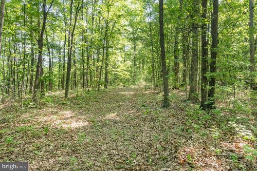718 Coon Hollow Rd, WARFORDSBURG, PA, 17267-9011 | Card Image