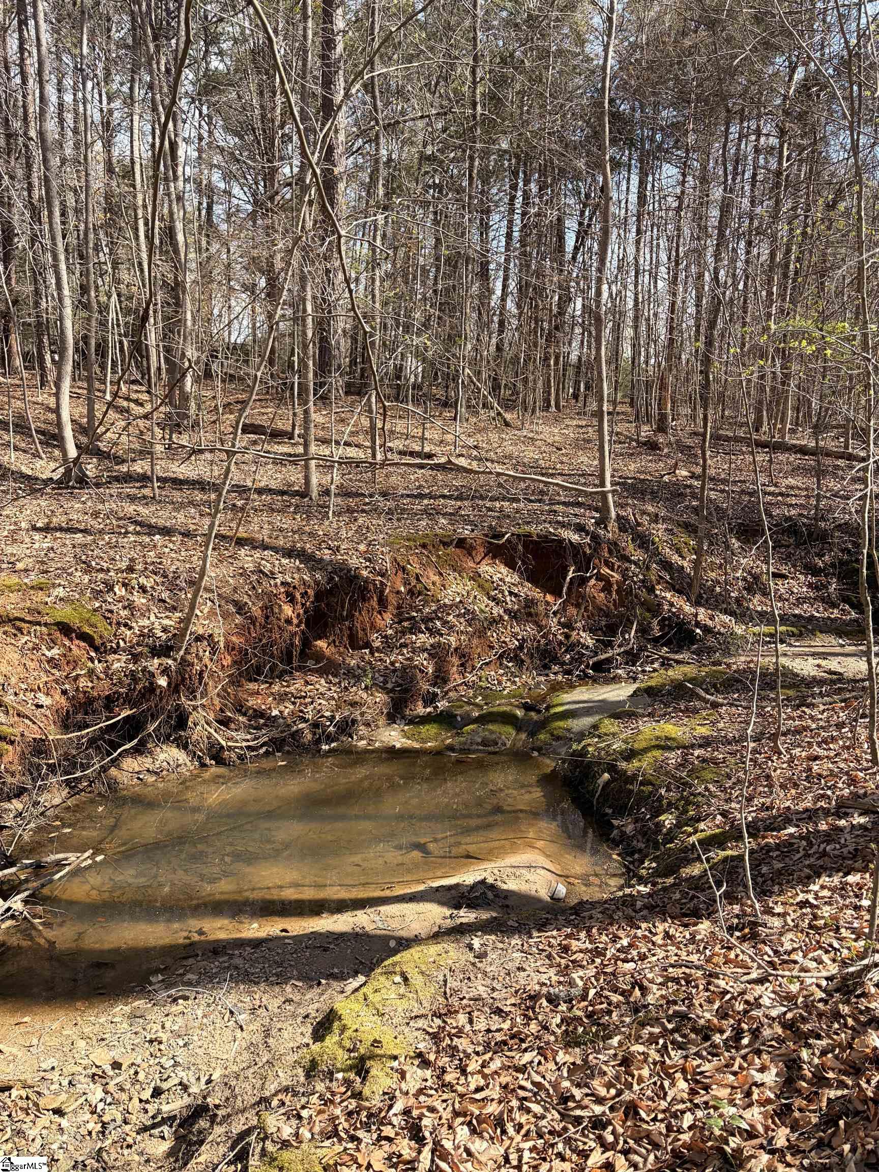 Land in Clinton 3