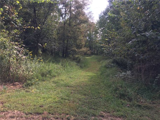 lot #2 West Mcclain Road, Home with 0 bedrooms, 0 bathrooms and null parking in Rostraver PA | Image 4