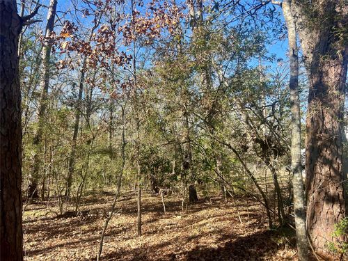 TBD Hackberry Dr, Onalaska, TX, 77360 | Card Image