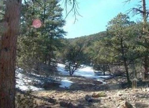 143 Ive Place, Cotopaxi, CO, 81223 | Card Image