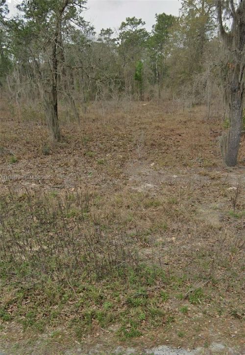 UNDETERMINED Sw 130th Ave, DUNNELLON, FL, 34432 | Card Image