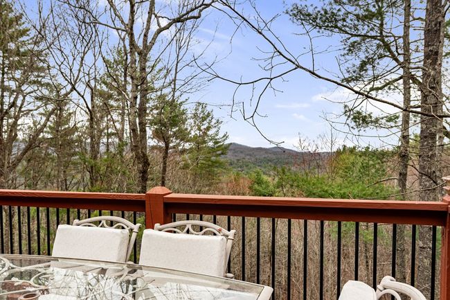 1036 Laurel Creek Trl, Home with 3 bedrooms, 4 bathrooms and null parking in Cherry Log GA | Image 29