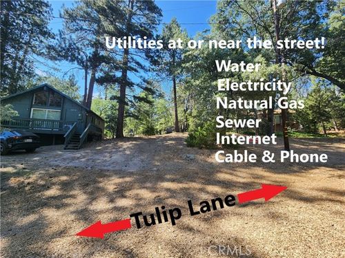 32754 Tulip Ln, Arrowbear Lk, CA, 92382 | Card Image