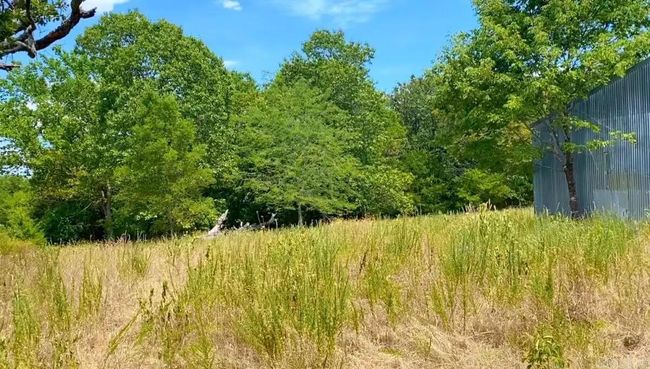 000 Cedar Ln, Home with 0 bedrooms, 0 bathrooms and null parking in Lead Hill AR | Image 20
