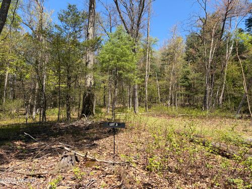 lot-3-PARCEL 112 Tallman Hollow Rd, Montoursville, PA, 17754 | Card Image