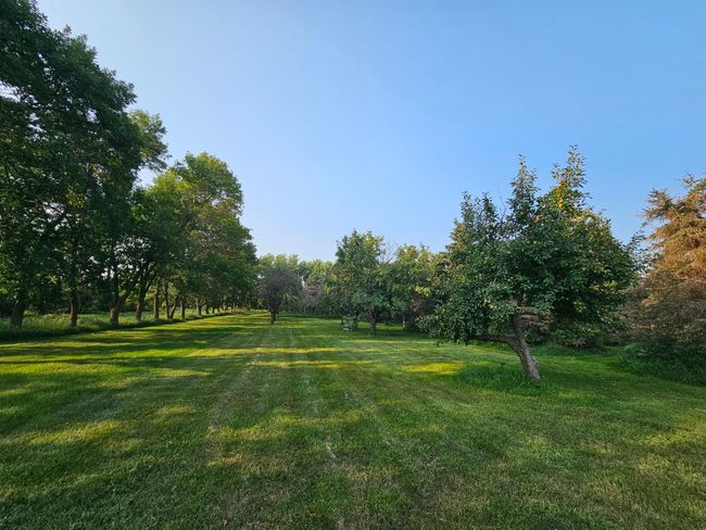 fruit pasture | Image 18