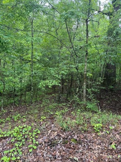 Lot 71 Block B Holiday Hills, Como, MS, 38619 | Card Image