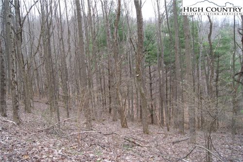 61 Forest Hill Drive, Sparta, NC, 28675 | Card Image