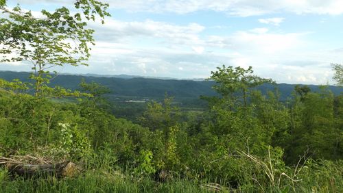 0 Osborne Ridge Rd, Dungannon, VA, 24245 | Card Image