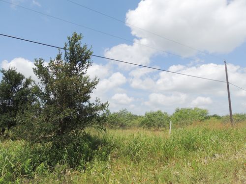 265 Linam Ln, Cedar Creek, TX, 78612-4874 | Card Image