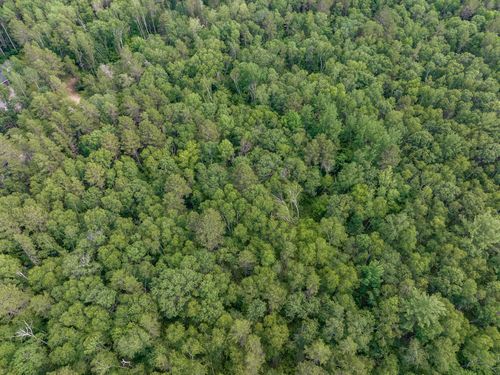 5 Pine Terrace Road, Ideal Twp, MN, 56442 | Card Image