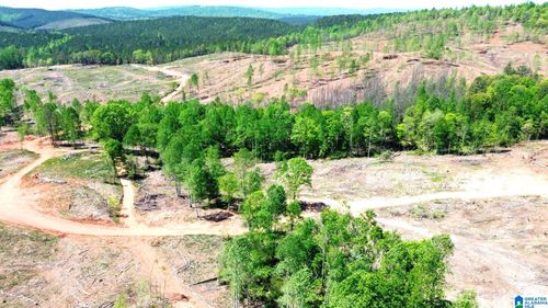 218-acres-17 Burk Ln, Talladega, AL, 35160-1770 | Card Image
