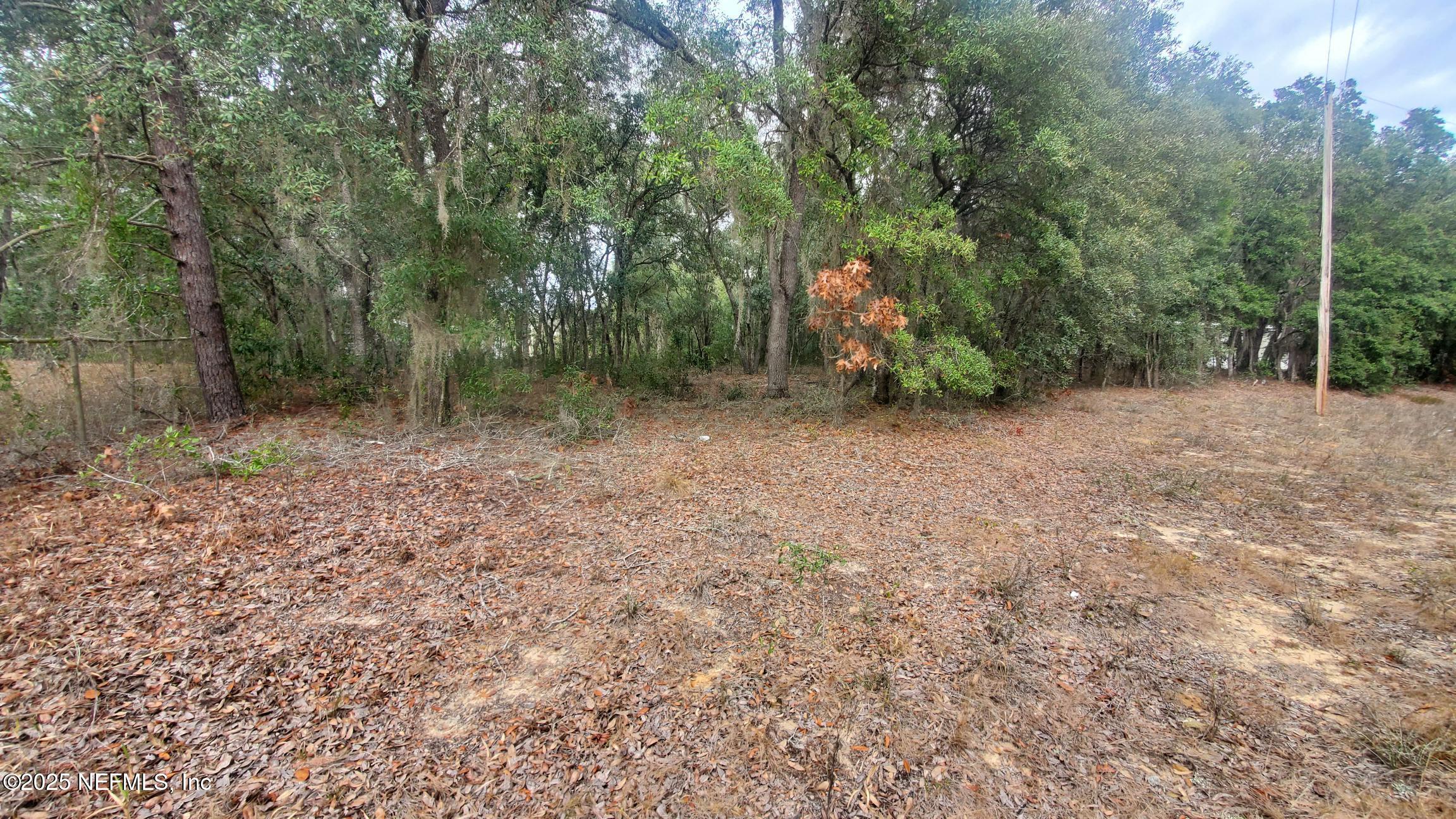 Land in Interlachen 3