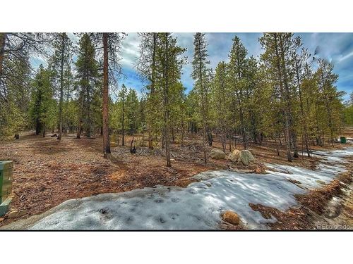 48 Mt Massive Rd, Twin Lakes, CO, 81251 | Card Image