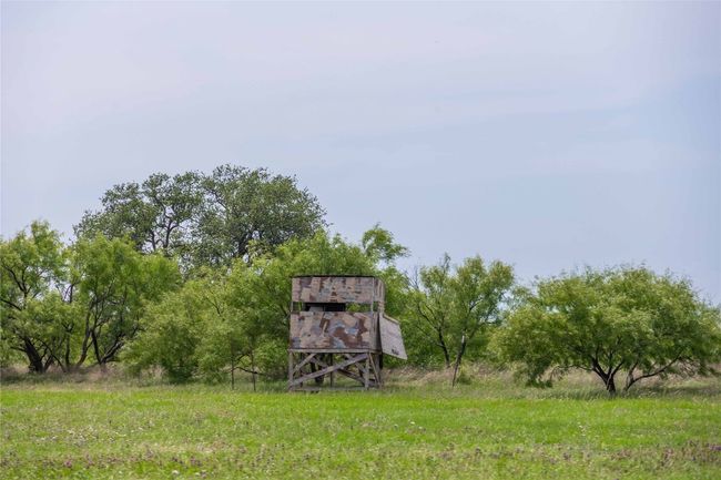 1183 Us Highway 84 W, Home with 3 bedrooms, 3 bathrooms and null parking in Mullin TX | Image 10