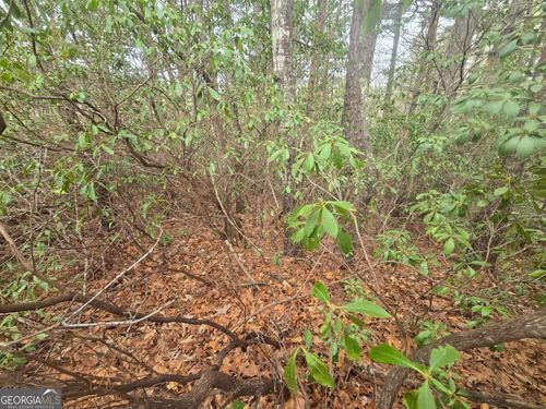 35 Vienna Ring, Helen, GA, 30545-2822 | Card Image