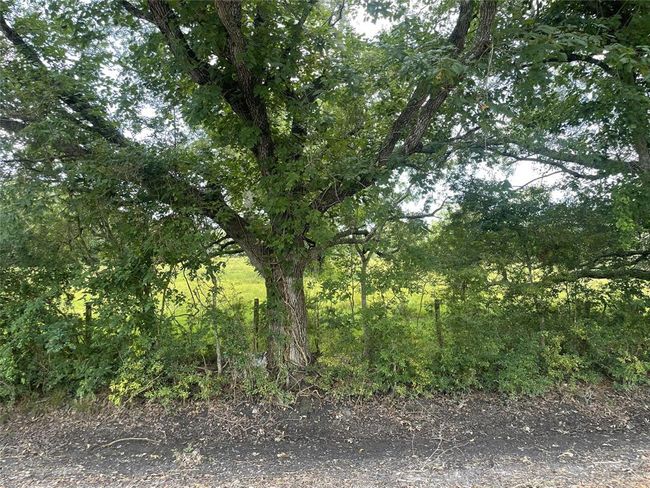 0 Davis Bend Rd, Home with 0 bedrooms, 0 bathrooms and null parking in Alvin TX | Image 17
