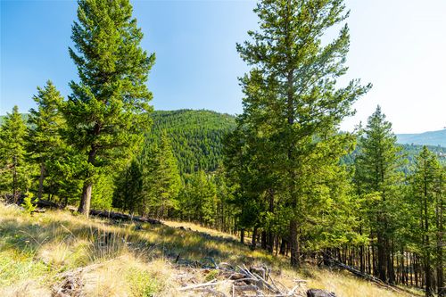 123 Seely Ln, Kila, MT, 59920-8602 | Card Image