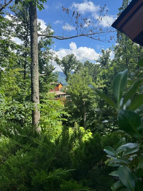 Residential in Gatlinburg 3