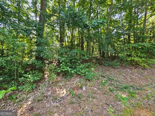LOT 4 June Ivey Rd Nw, Bethlehem, GA, 30620 | Card Image