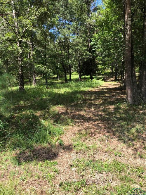 TBD Pr 7223, Jefferson, TX, 75657 | Card Image