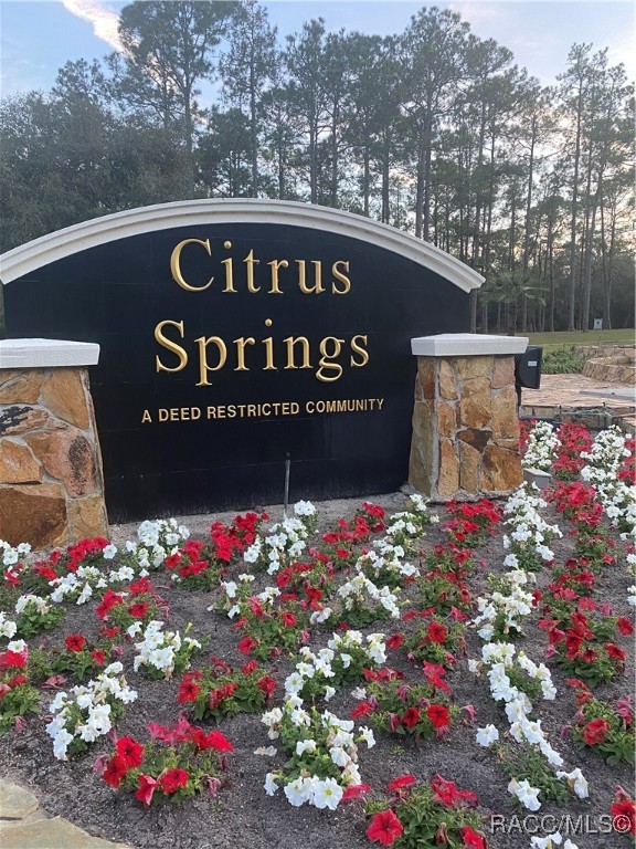 Land in Citrus Springs 2