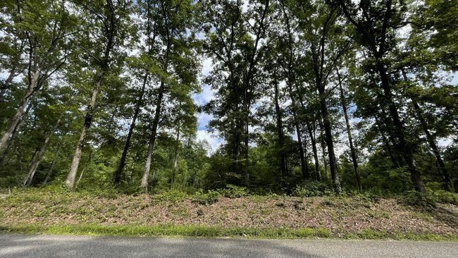 0 Pugh Rd, Home with 0 bedrooms, 0 bathrooms and null parking in Holladay TN | Image 5