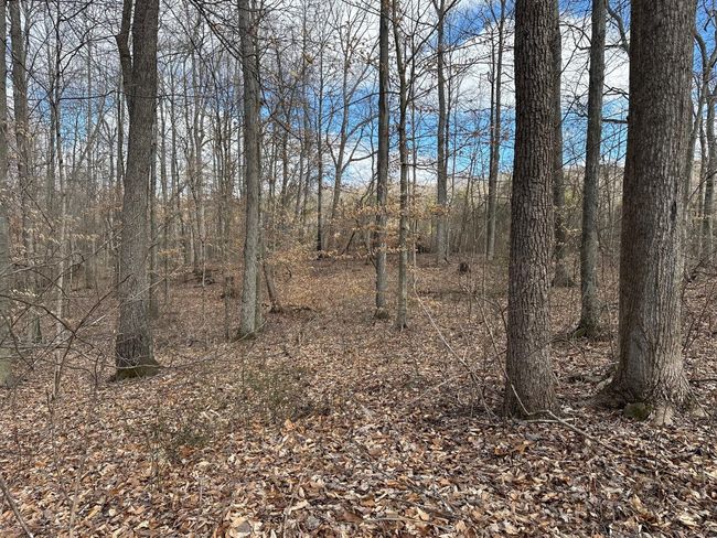 126 Northcutts Cove Rd, Home with 0 bedrooms, 0 bathrooms and null parking in Beersheba Springs TN | Image 20
