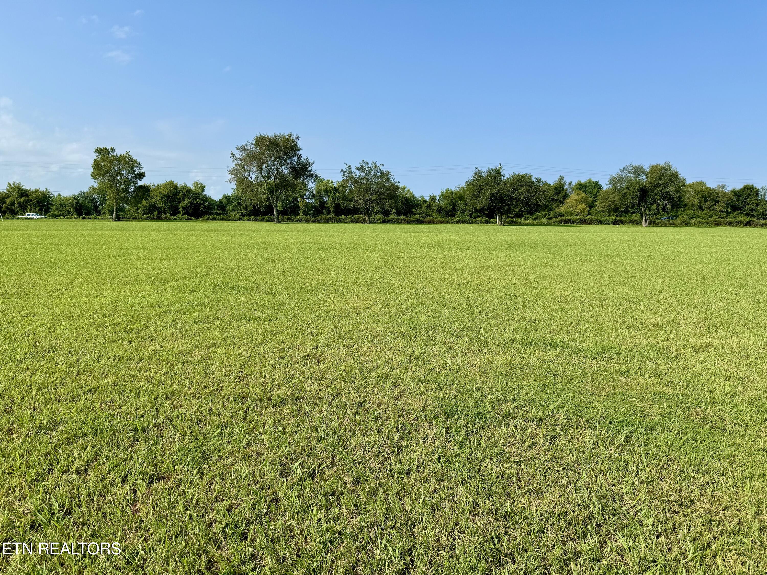 Land in Dandridge 3