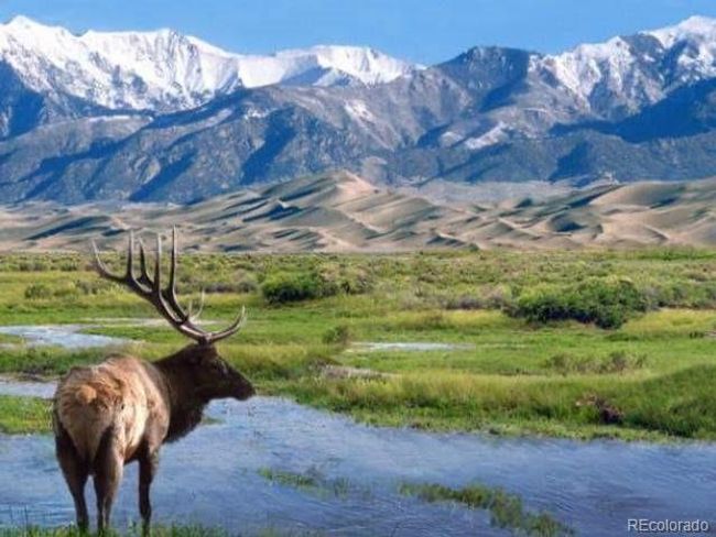 000 Highway 285, Home with 0 bedrooms, 0 bathrooms and null parking in Saguache CO | Image 35