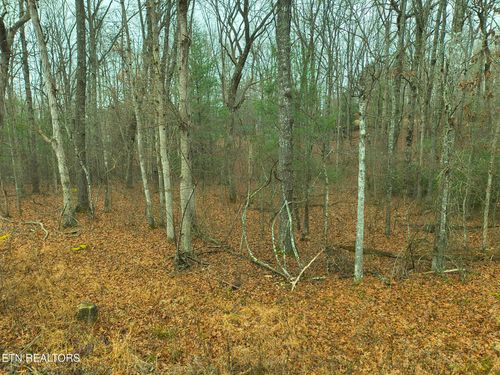 526 & 528 Tsala Dr, Crossville, TN, 38572-1504 | Card Image