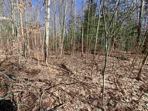 V/L Tower Road, Ne, Coldsprings Township, MI, 49646 | Card Image