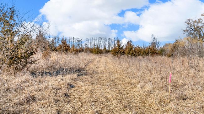 PARCEL-2 - 2 Silver St, Home with 0 bedrooms, 0 bathrooms and null parking in Reading MI | Image 5