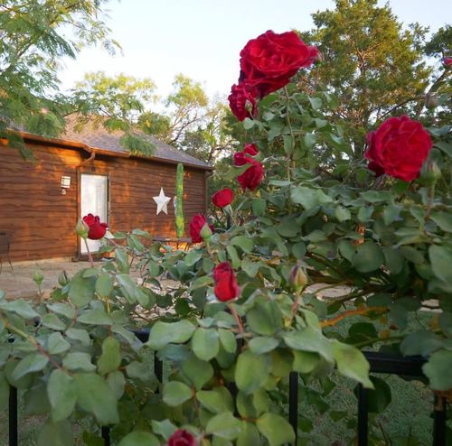 101 Hideaway Dr, Strawn, TX, 76475-2388 | Card Image